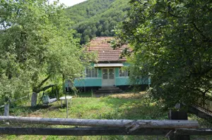 Casă zona linistita sat Micănești (Zam-HD) anexe vechi tradiționale și potențial turistic 12,8 e mp - imagine 4