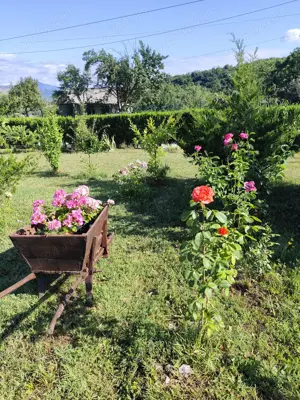 Vând pensiune, casă de vacanță  - imagine 9