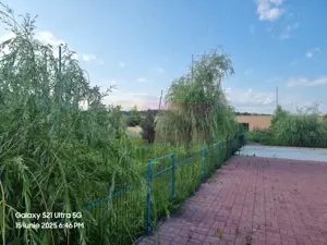 TEISORI / GR - DE VZ CASA OASPETI + ANEXE - imagine 19