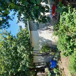 Casa bătrânesc de vanzare+teren - imagine 3