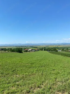 Vand teren 14800 mp. in Traian, Bacau - negociabil - imagine 2