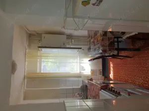 apartament 2 camere DEVA - imagine 10