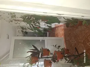 Casa de vanzare - imagine 9 Casa de vanzare - imagine 9