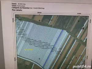 Teren extravilan 8.043 mp   Valea lui Patru, com. Scăiești