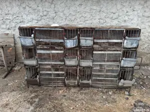 vand cusca de iepuri cu 12 boxe 