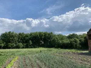 Casă la țară în Uliuc, 20km de Timișoara, Teren 2275mp - imagine 7