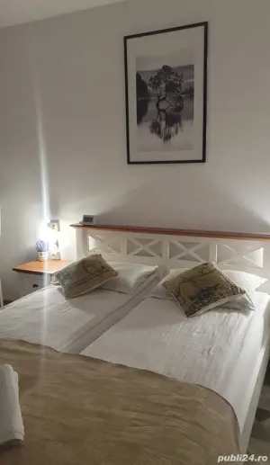 Apartament cu 2 camere,de vanzare - imagine 3