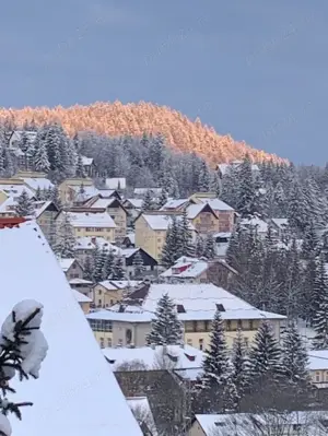 Apt 2 camere Predeal - priveliste superba - imagine 8