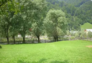 Vand teren intravilan localitatii Rucar, sat Satic, punct Caminul Casei, jud. Arges