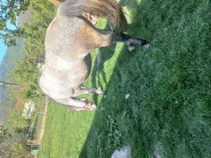 Iapa 7 ani.   - imagine 2