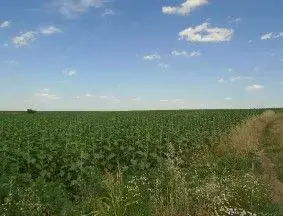 Teren extravilan Caldararu, ID: R2616308