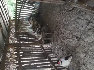 Vand rate mute  - imagine 2