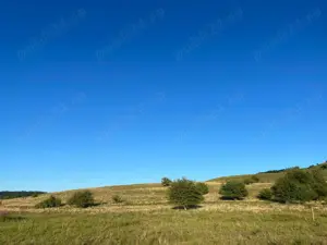 Teren extravilan de vânzare  - imagine 2