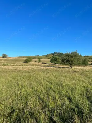 Teren extravilan de vânzare  - imagine 3