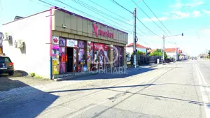 Spatiu comercial de vanzare - Calea Severinului - imagine 4