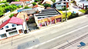 Spatiu comercial de vanzare - Calea Severinului - imagine 3