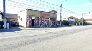 Spatiu comercial de vanzare - Calea Severinului - imagine 9