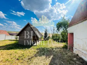 Casa caramida+ teren 3160+ cabana lemn Bencecu de Jos - imagine 3