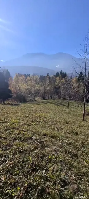 Teren intravilan 3900mp Borsa Maramures - imagine 4