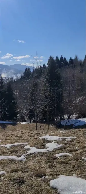 Teren intravilan 3900mp Borsa Maramures - imagine 3