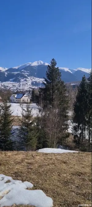 Teren intravilan 3900mp Borsa Maramures - imagine 2