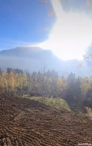 Teren intravilan 3900mp Borsa Maramures - imagine 6