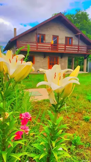 Vand casa la alb. - imagine 2