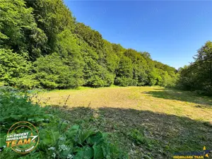 FILM! Teren extravilan pe 2.737mp,zona pretioasa,acces facil,Dobarlau,Covasna