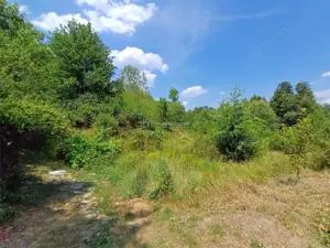 Resita, Terenuri Intravilane 2000 Mp., 28 Euro Mp., Calea Caransebesului, Memento - imagine 6