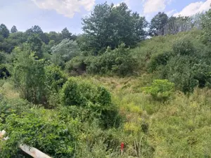 Resita, Terenuri Intravilane 2000 Mp., 28 Euro Mp., Calea Caransebesului, Memento - imagine 15