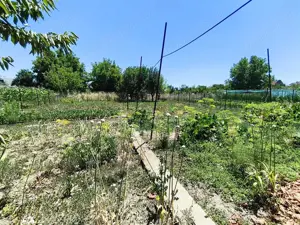 Casa pe un nivel renovata,curte individuala teren 780mp - imagine 19