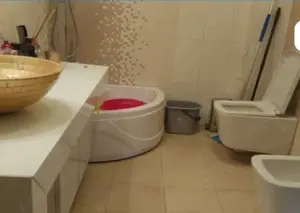 Vand vila in zona Piata Progresu - Sos Giurgiului - imagine 5