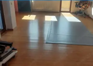 Vand vila D P 1 2 Zona Berceni sct 4 - imagine 4