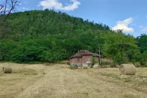 Teren, padure si casa in Dumbrava de Jos, jud. Hunedoara - imagine 2
