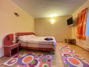 Vila 8 camere Azuga | Fabrica de apa Azuga - imagine 10