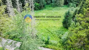 TEREN intravilan  comuna TARCAU - SCHITU - imagine 7