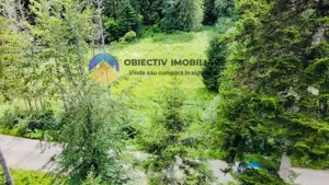 TEREN intravilan  comuna TARCAU - SCHITU - imagine 5