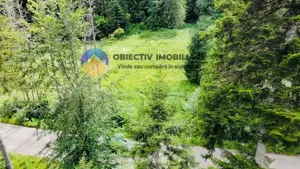 TEREN intravilan  comuna TARCAU - SCHITU - imagine 6