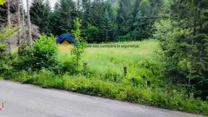 TEREN intravilan  comuna TARCAU - SCHITU - imagine 8