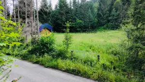 TEREN intravilan  comuna TARCAU - SCHITU - imagine 9