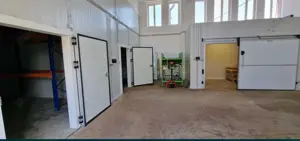 Vând Închiriez depozit pt congelare, uscare, ambalare legume fructe