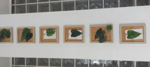 LOT  tablouri 19 x 23 cm 