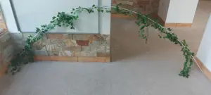 suport telescopic cu verdeata 4 ml