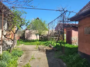 Casa la tara cu moara si trifazic - imagine 3