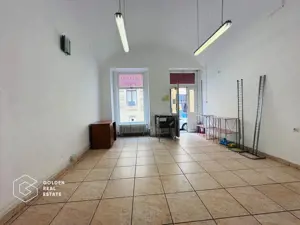 Spatiu comercial,  Zona Ultracentrala, Strada Metianu