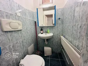 Spatiu comercial,  Zona Ultracentrala, Strada Metianu - imagine 9