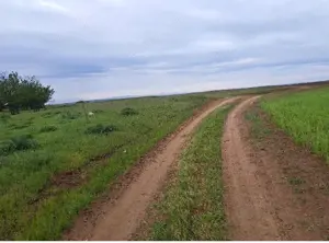 Teren extravilan, loc Densa, Jud Dolj