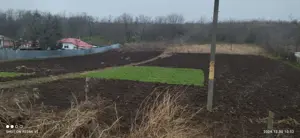 Teren intravilan 5.000 mp, ideal pentru construcție + grădină vie - imagine 3