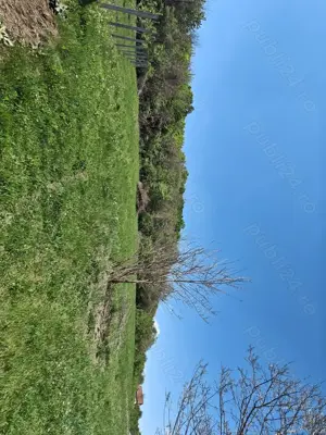 Teren intravilan 1400 m2 în Curteni, Sântana de Mureș - la doar 10 minute de centrul Targu Mures - imagine 4