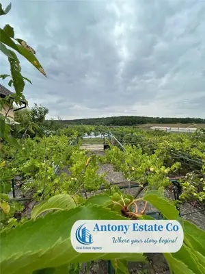 LAKESIDE HOME - Paleu - imagine 2